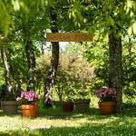 Apartment Palmira