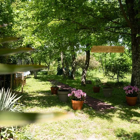 Palmira Porec