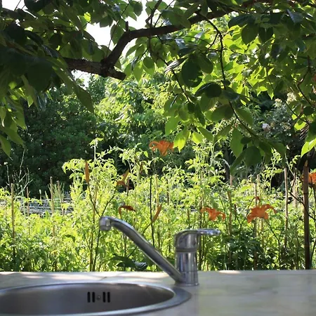 Palmira Lejlighed Poreč